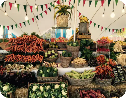 Farmers market stall with baskets of carrots, cabbages and corn