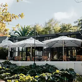Outdoor café patio with white umbrellas, wooden tables and glass-walled dining area