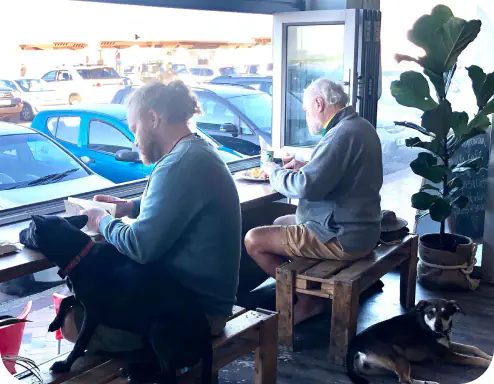 Two men eating at a cafe counter with two dogs