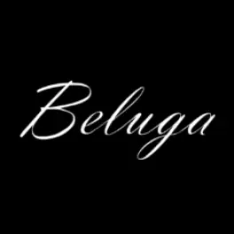 Beluga wordmark in white script on black background